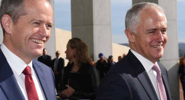 Bill Shorten and Malcolm Turnbull