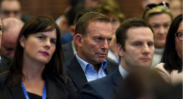liberal party council