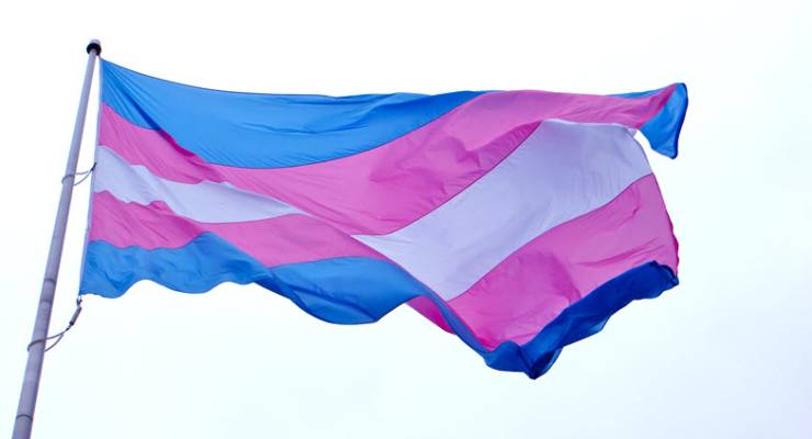 trans flag