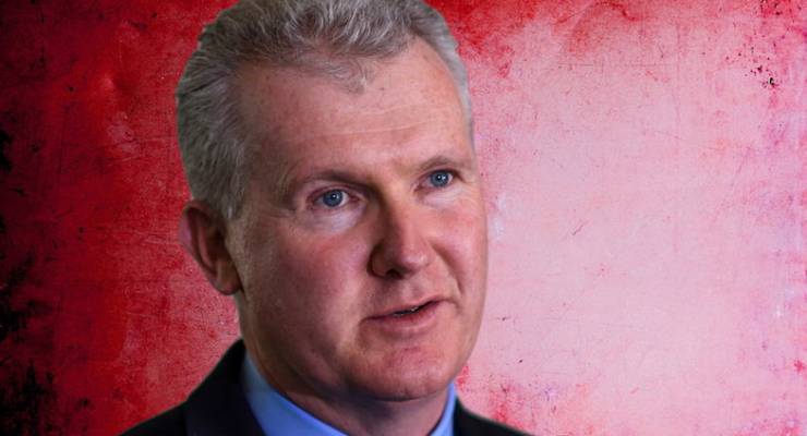 Tony Burke arts