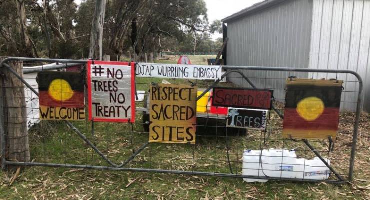 Djab Wurrung birthing tree protest treaty victorian government