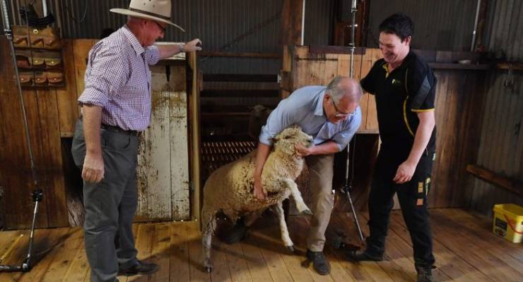 Scott Morrison Election