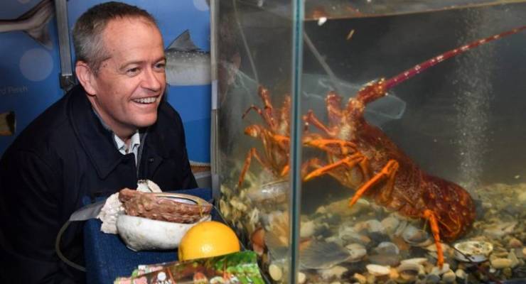 Bill Shorten