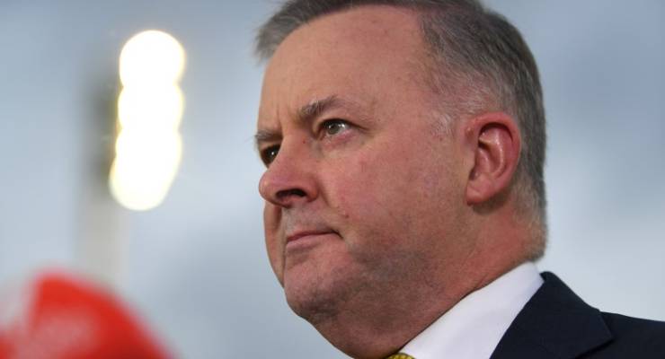 Anthony Albanese Labor leadership 2019 federal election