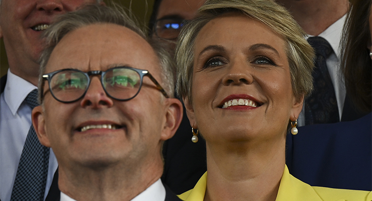 Prime Minister Anthony Albanese and Environment Minister Tanya Plibersek (Image: AAP/Lukas Coch)