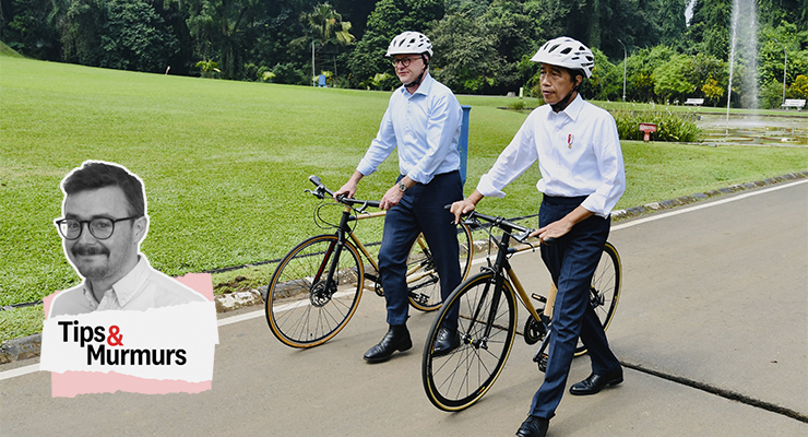 joko widodo and albo