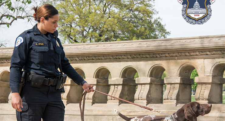 Detail from recruitment tweet by US Capitol Police (Twitter/US Capitol Police)