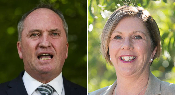 MP Barnaby Joyce and Infrastructure Minister Catherine King (Images: AAP)