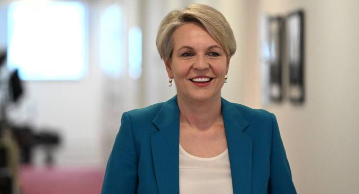 Tanya Plibersek