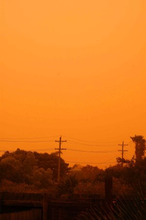 Dust Storm The view from my backyard this morning