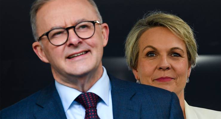 Tanya Plibersek and Anthony Albanese (Image: AAP/Lukas Coch)