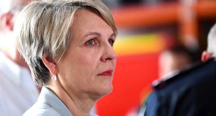 Environment Minister Tanya Plibersek