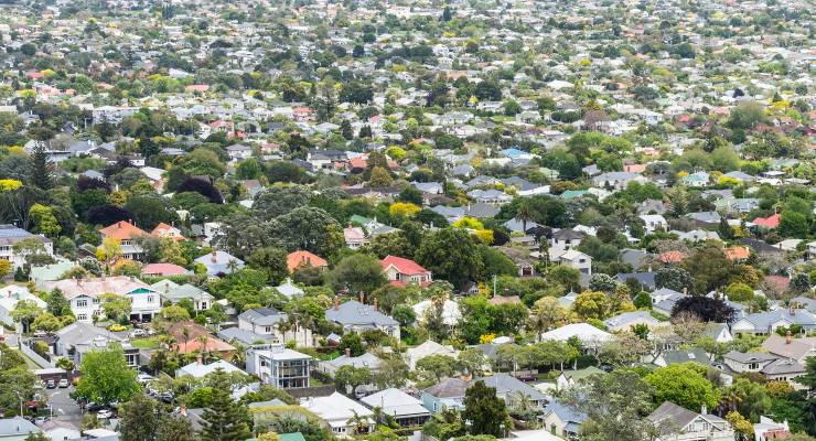 Houses in Auckland (Image: Adobe)