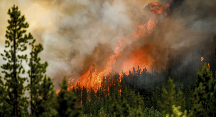 Flames along a ridge north of Fort St John in British Columbia (Image: AP/Noah Berger)