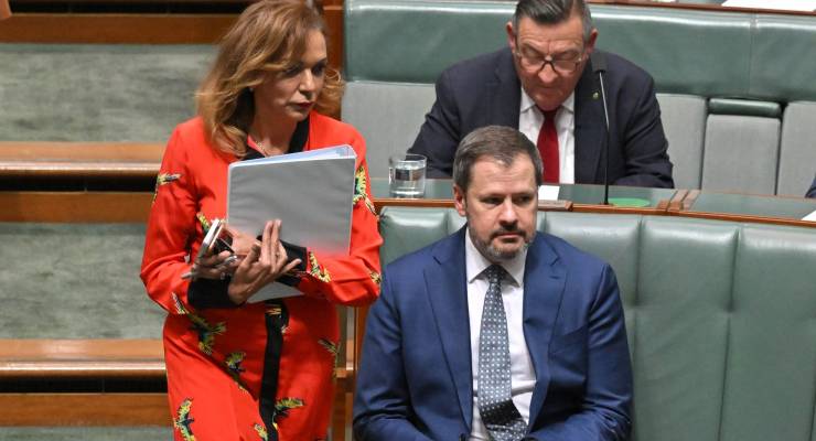 Labor ministers Anne Aly and Ed Husic during question time on Thursday (Image: AAP/Mick Tsikas)