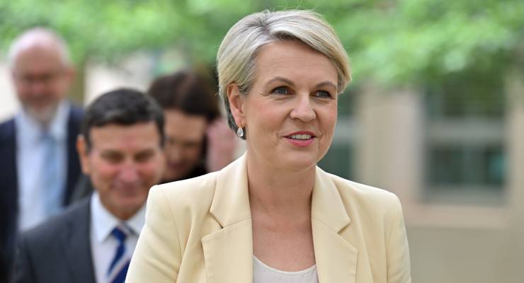 Environment Minister Tanya Plibersek