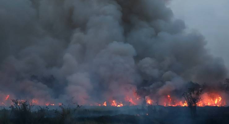 Extensive forest fire with heavy dark smoke in tropical forest. Cause of deforestation.