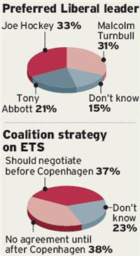 Nielsen SMH-Age poll