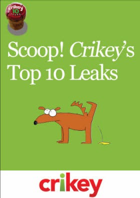 Crikeys top 10 leaks