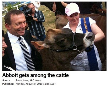 abbott ekka