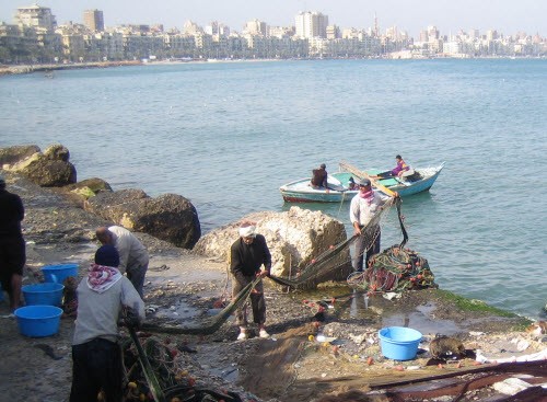 FISHERMEN IN ALEXANDRIA HARBOUR