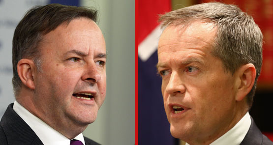 Anthony Albanese Bill Shorten