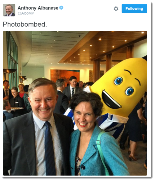 anthony albanese