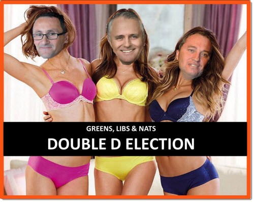 jacqui lambie double d