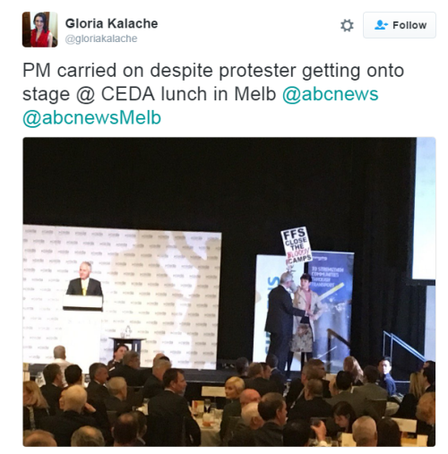 gloria kalache tweet