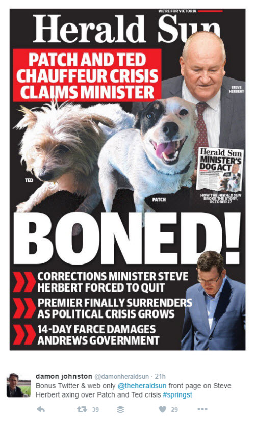 herald-sun-dog-cover