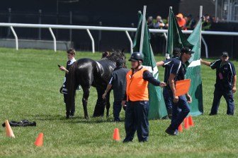 melbourne cup