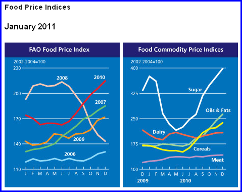 6-01-2011 faofoodpriceindices